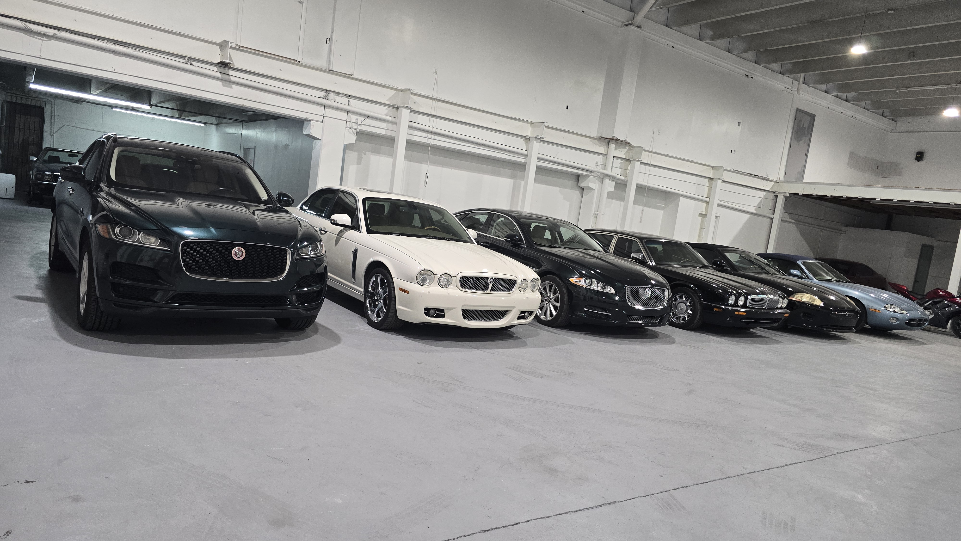 Jaguar Collection